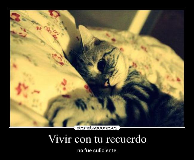 Vivir con tu recuerdo - no fue suficiente.