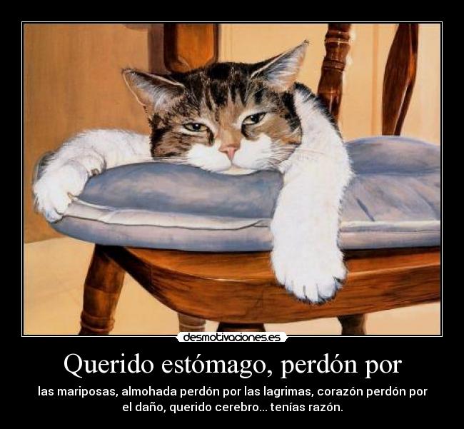 Querido estómago, perdón por - las mariposas, almohada perdón por las lagrimas, corazón perdón por
el daño, querido cerebro... tenías razón.