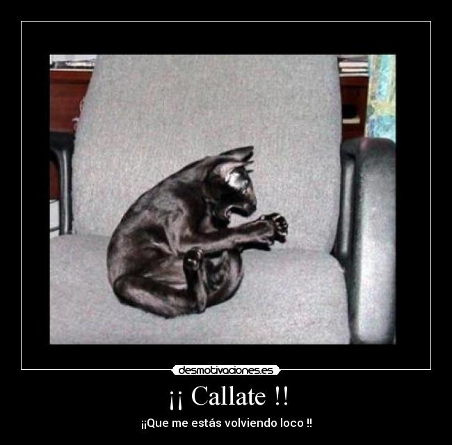 ¡¡ Callate !! - 