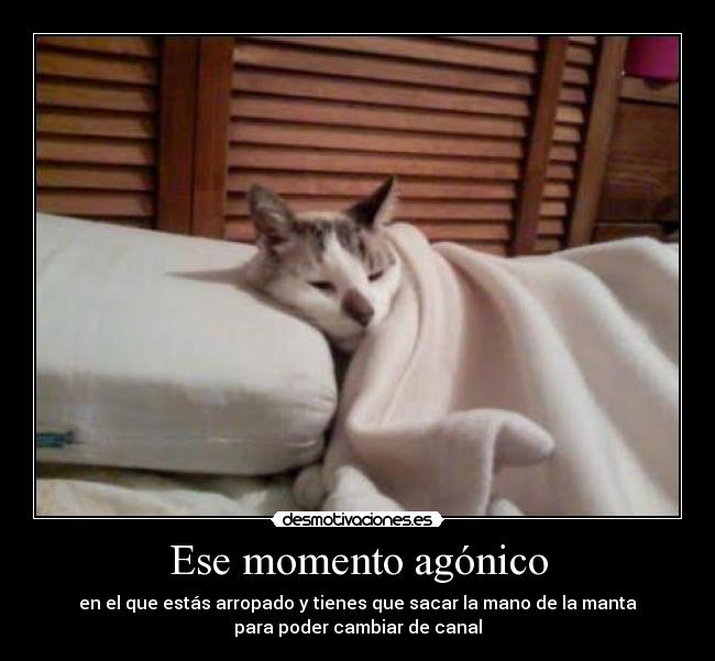 Ese momento agónico - 