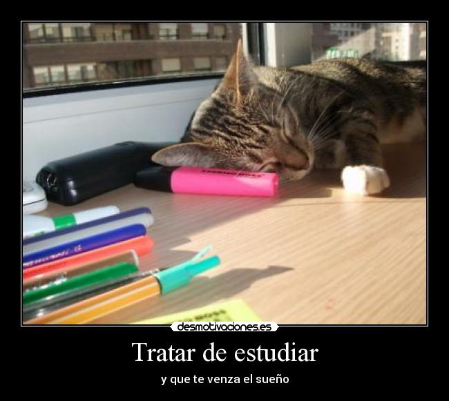 Tratar de estudiar -