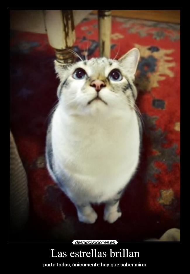 Las estrellas brillan - parta todos, únicamente hay que saber mirar.