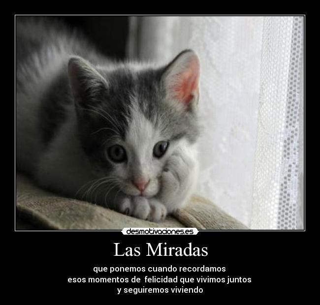 Las Miradas - 