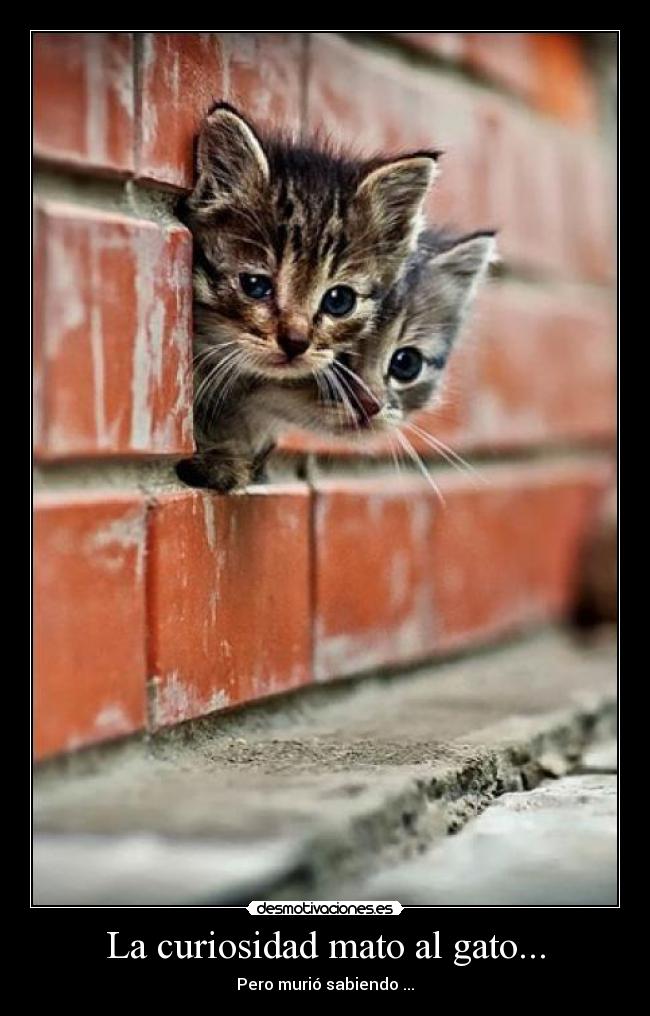 carteles danii desmotivaciones