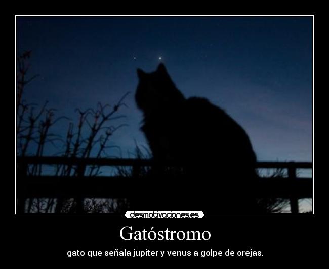Gatóstromo -