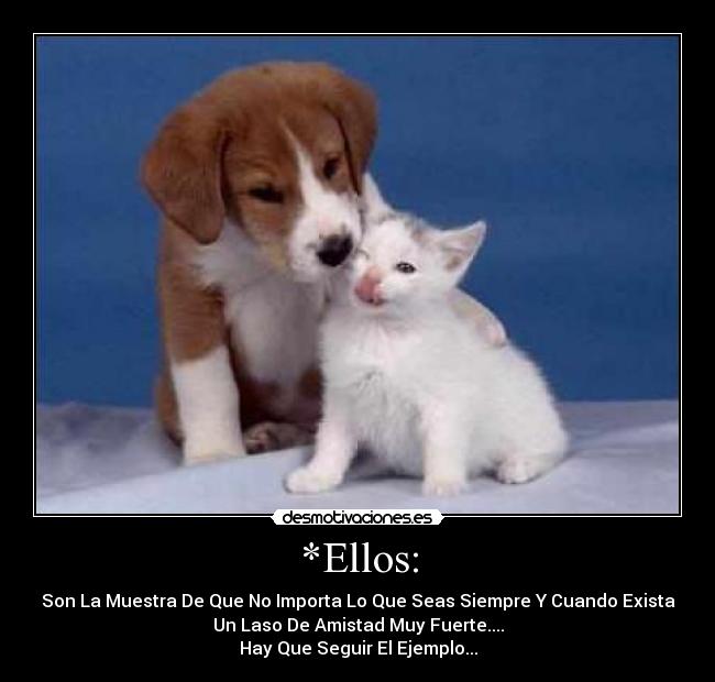*Ellos: -