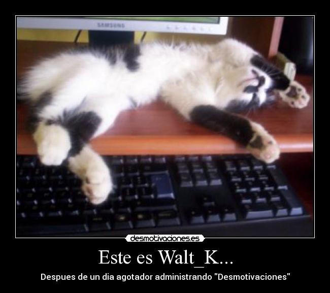 Este es Walt_K... - 