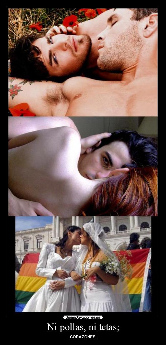 Ni pollas, ni tetas; - 