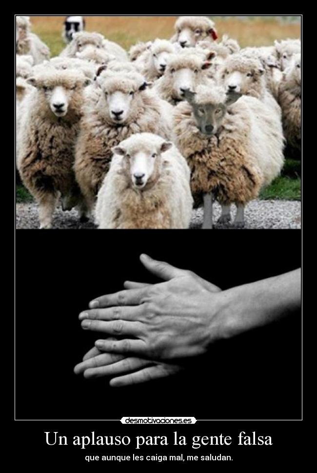 carteles gente falsa desmotivaciones