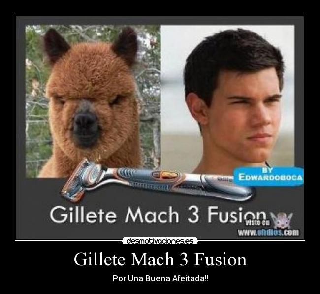 carteles gillete desmotivaciones