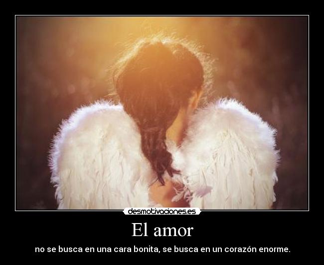 El amor - 