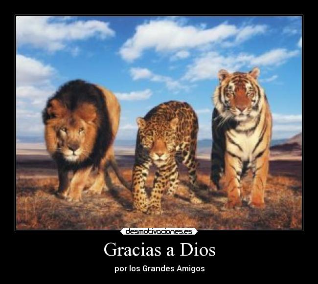 Gracias a Dios - 