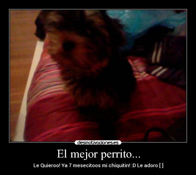 carteles milu desmotivaciones