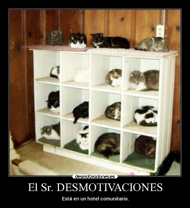 El Sr. DESMOTIVACIONES - Está en un hotel comunitario.