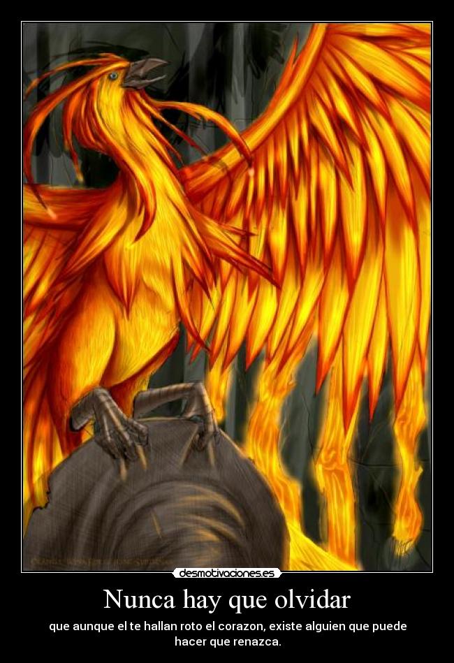 Nunca hay que olvidar -