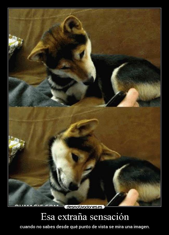 Esa extraña sensación - cuando no sabes desde qué punto de vista se mira una imagen.