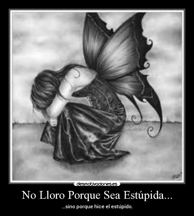 No Lloro Porque Sea Estúpida... -