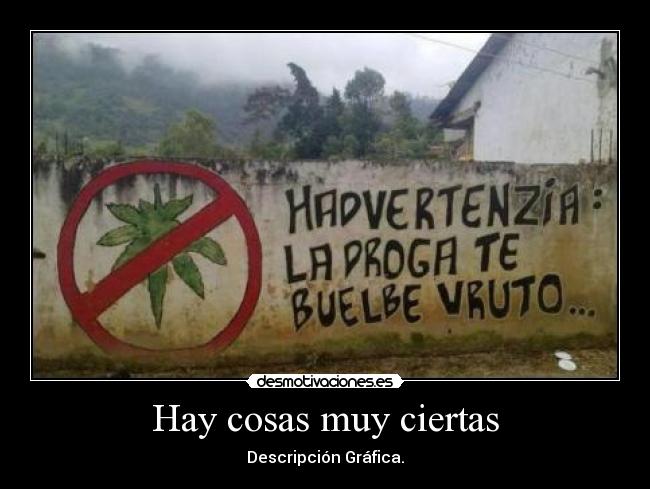 Hay cosas muy ciertas - Descripción Gráfica.