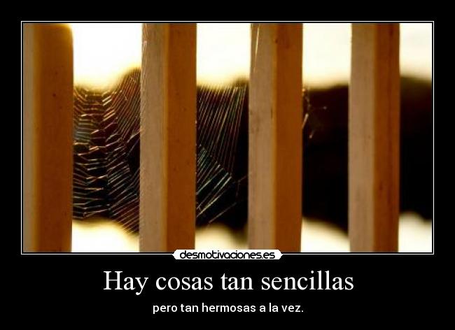 Hay cosas tan sencillas - pero tan hermosas a la vez.