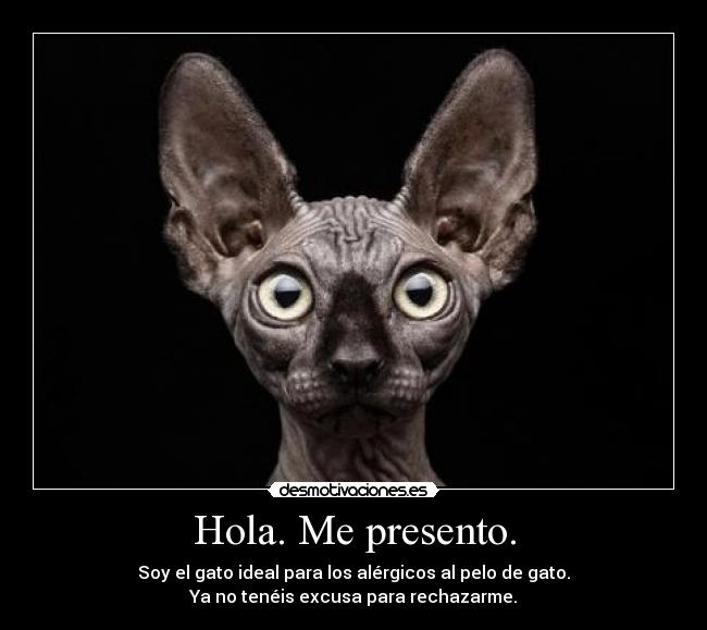 Hola. Me presento. - 