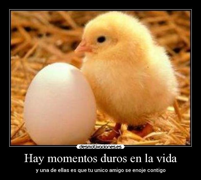 Hay momentos duros en la vida - 