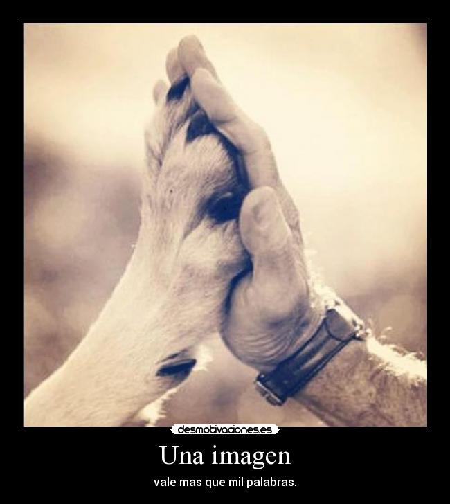 Una imagen - 