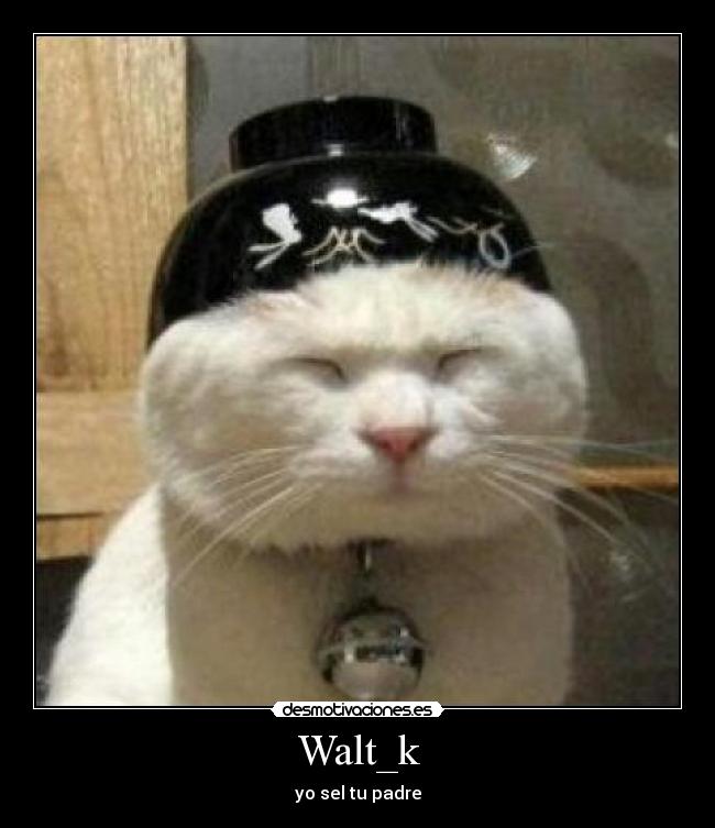 Walt_k - yo sel tu padre