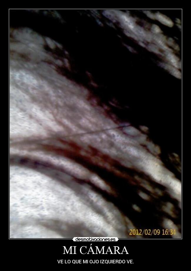 carteles isaac gutierrez desmotivaciones