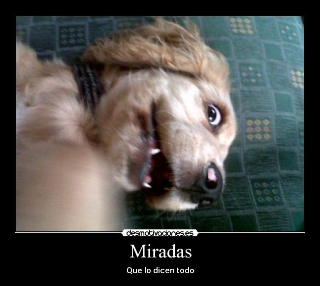 Miradas - 