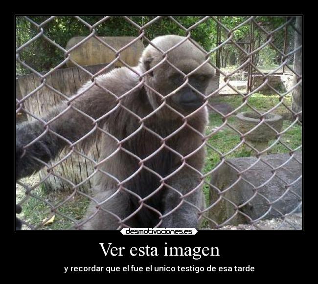 Ver esta imagen -