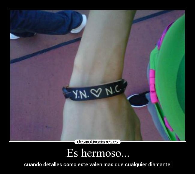 carteles nicole desmotivaciones