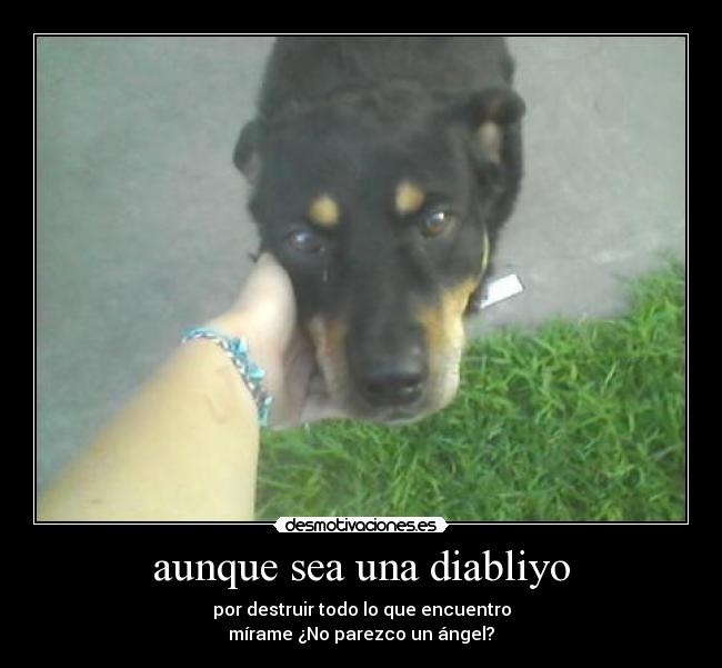 aunque sea una diabliyo - 