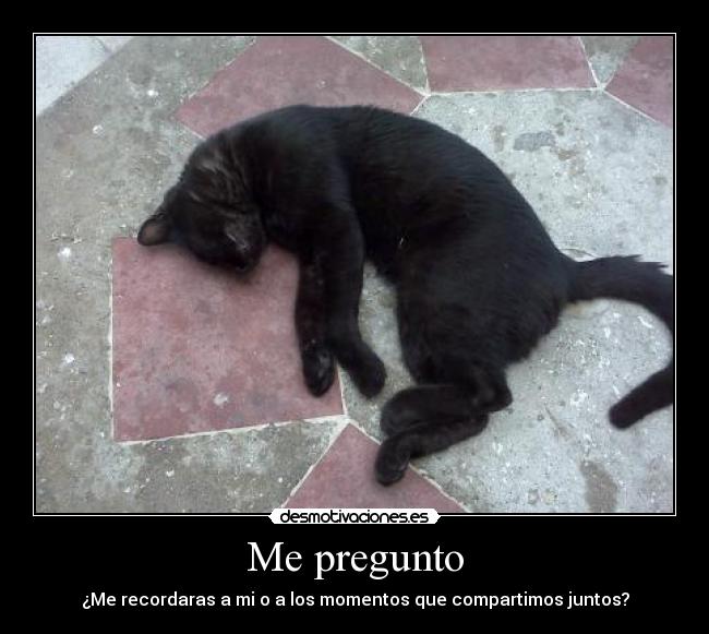 Me pregunto - ¿Me recordaras a mi o a los momentos que compartimos juntos?