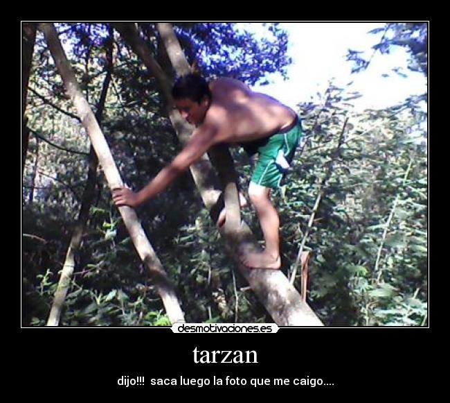 tarzan -