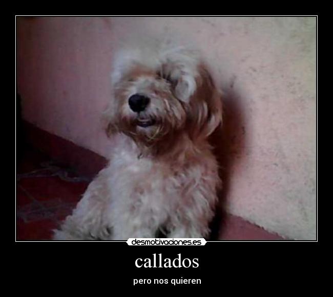 carteles princesa desmotivaciones