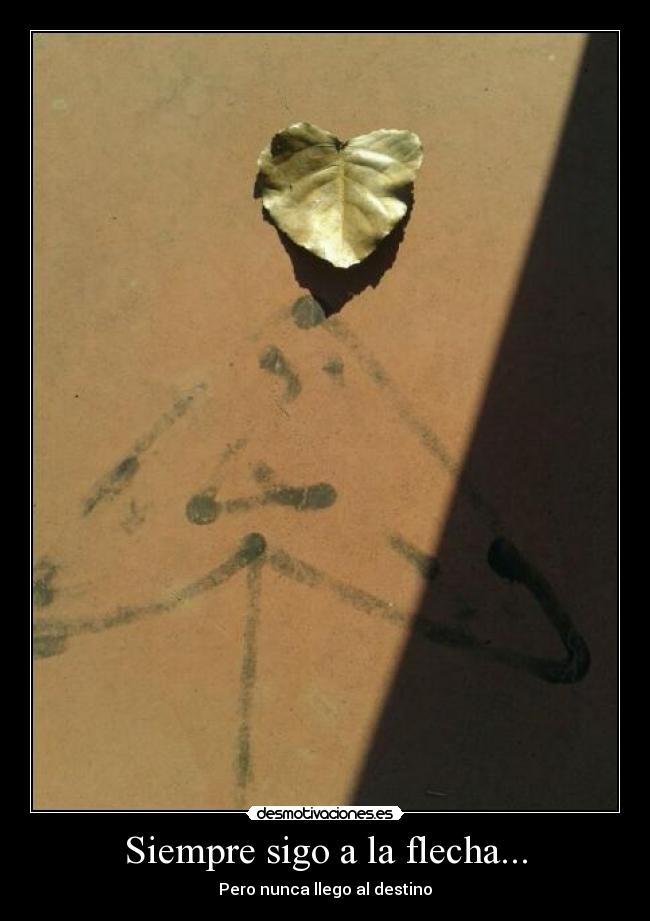 Siempre sigo a la flecha... -