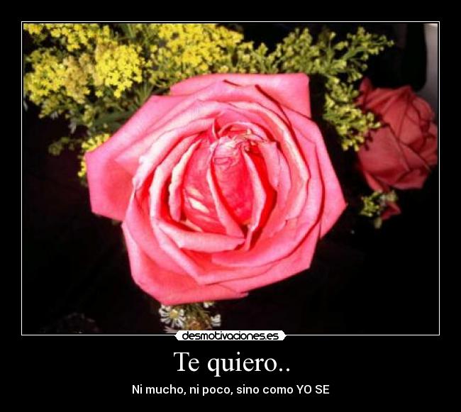 carteles mioooo desmotivaciones