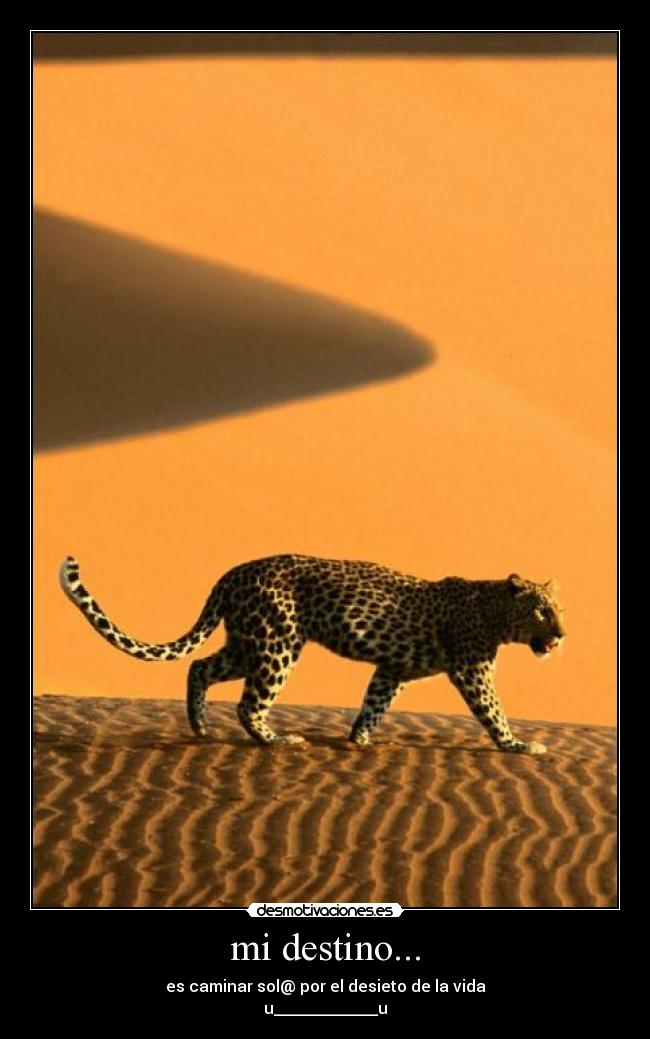 mi destino... - es caminar sol@ por el desieto de la vida
u_____________u