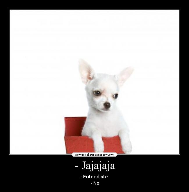 carteles jajajaja desmotivaciones