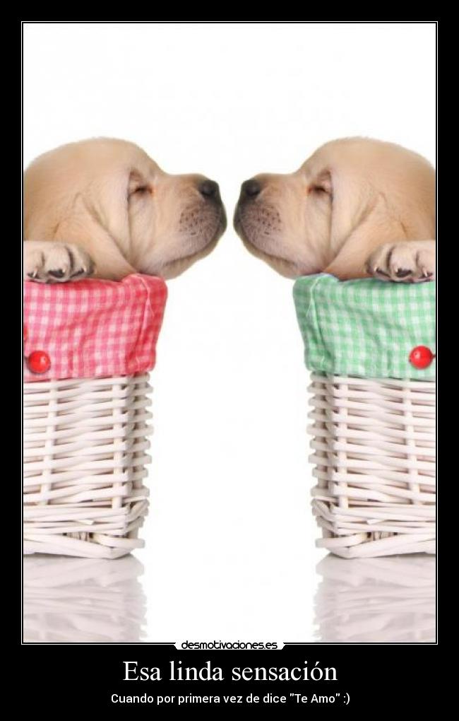 Esa linda sensación -