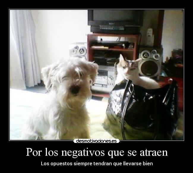 Por los negativos que se atraen -