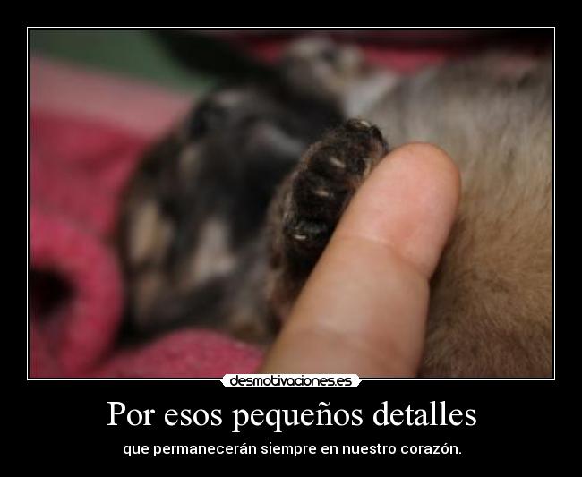 Por esos pequeños detalles - que permanecerán siempre en nuestro corazón.