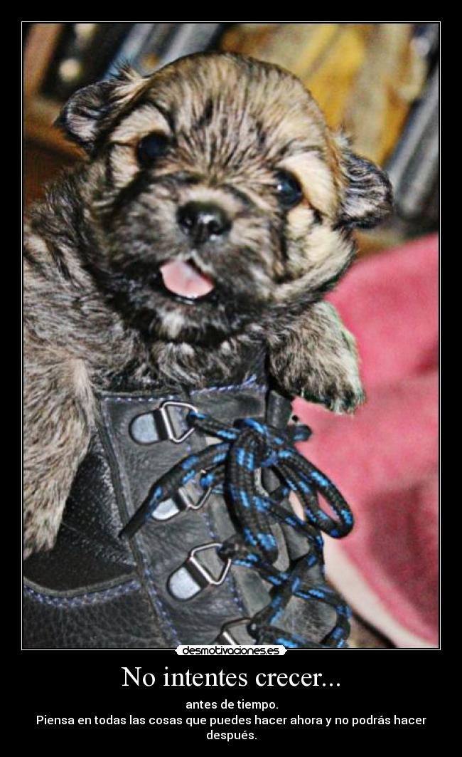 No intentes crecer... - antes de tiempo.
Piensa en todas las cosas que puedes hacer ahora y no podrás hacer después.