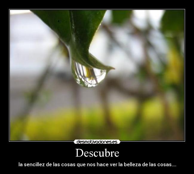 Descubre -