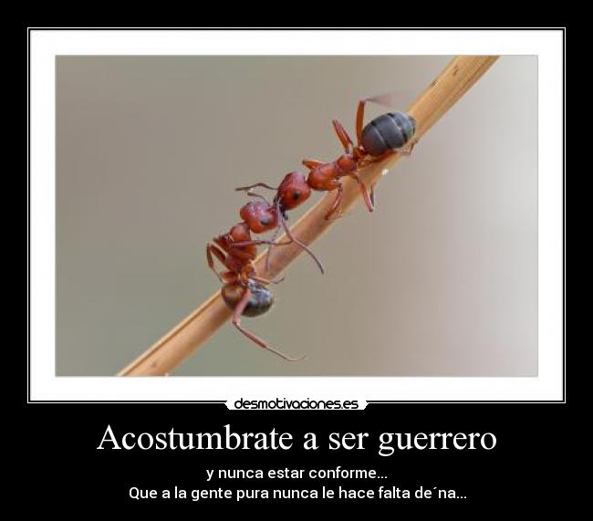 Acostumbrate a ser guerrero - y nunca estar conforme...
Que a la gente pura nunca le hace falta de´na...