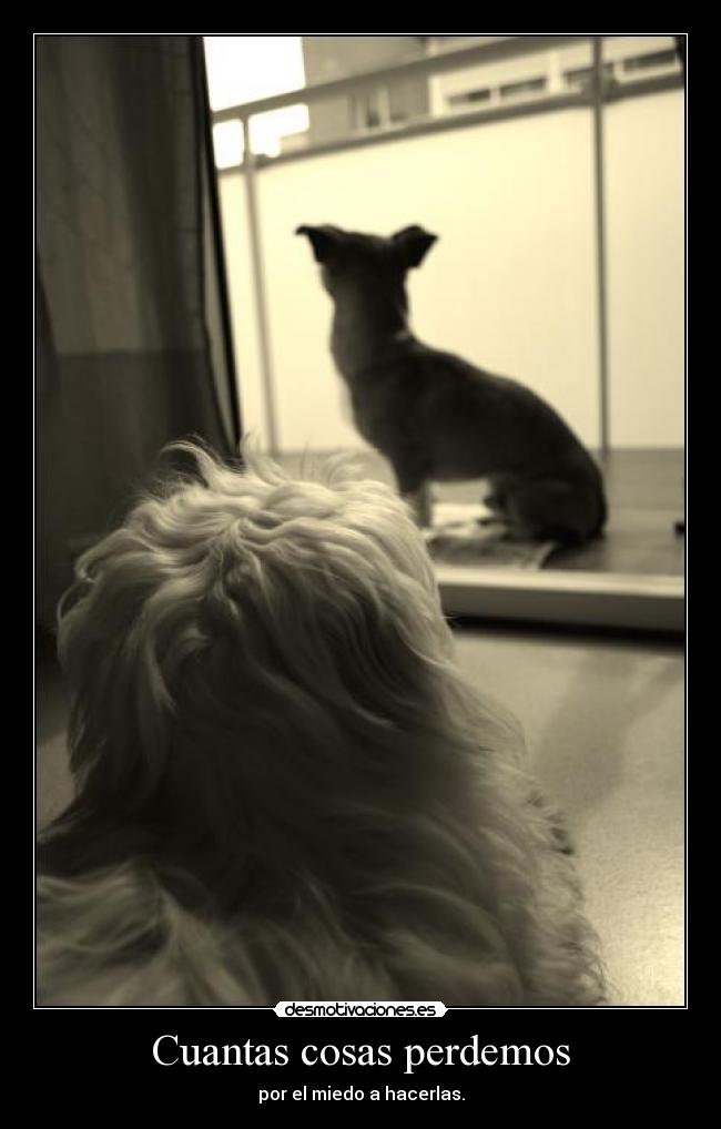 Cuantas cosas perdemos -