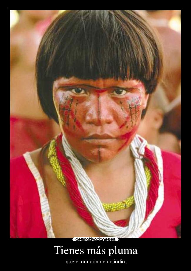 Tienes más pluma - que el armario de un indio.