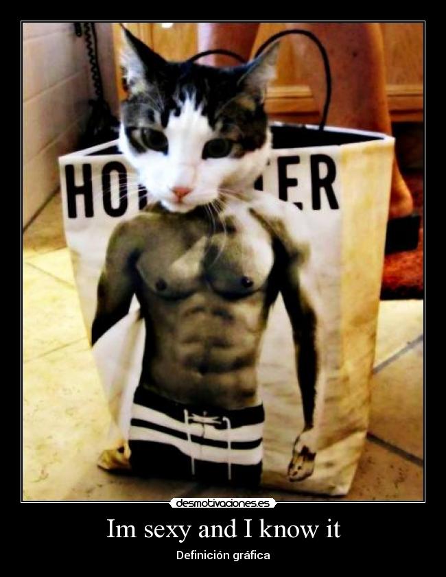 Im sexy and I know it - Definición gráfica