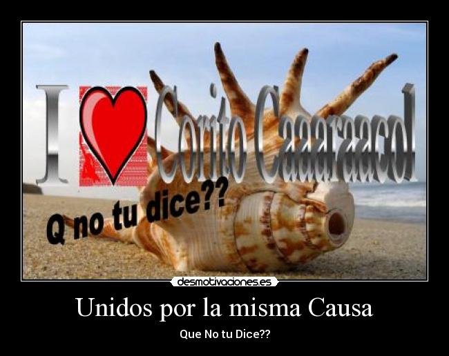 carteles perla hernandez desmotivaciones