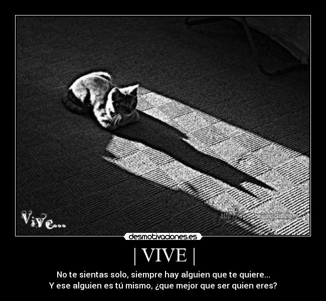 | VIVE | - No te sientas solo, siempre hay alguien que te quiere...
Y ese alguien es tú mismo, ¿que mejor que ser quien eres?